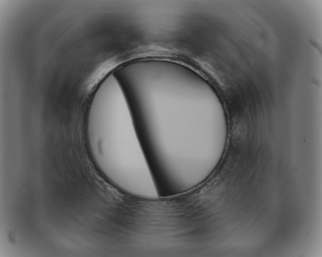 X0000091641455200708230937