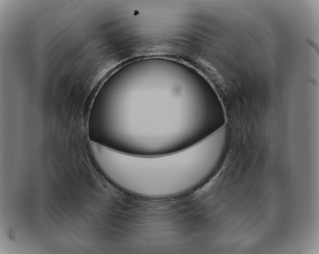 X0000091641457200708230937