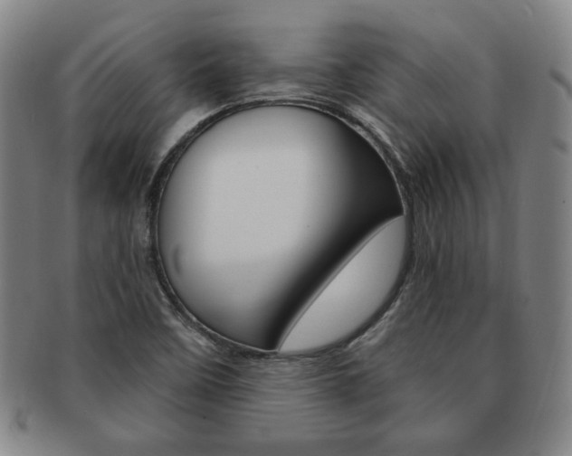 X0000091641458200708230937