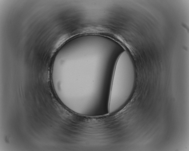 X0000091641459200708230937