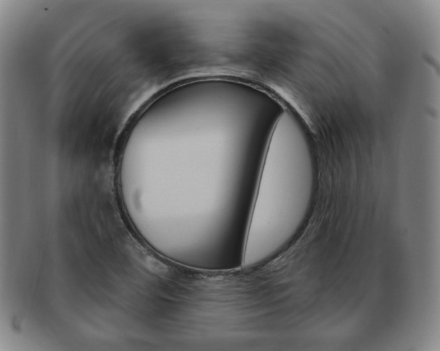 X0000091641460200708230937