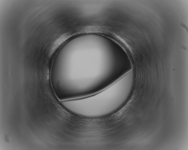 X0000091641461200708230937