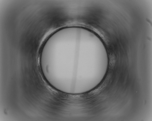 X0000091641462200708230937