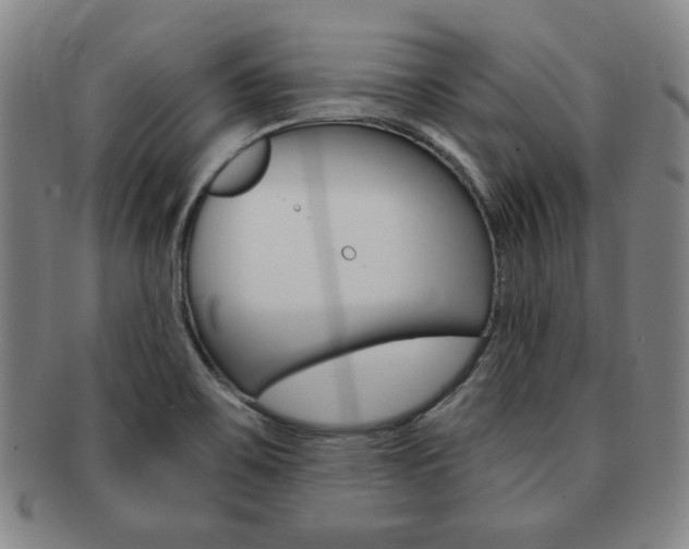X0000091641467200708230937