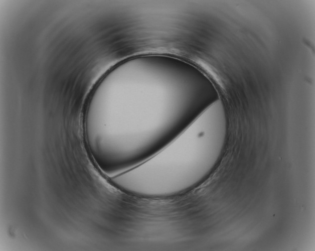 X0000091641468200708230937