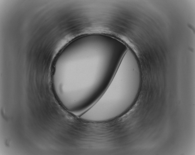 X0000091641469200708230937