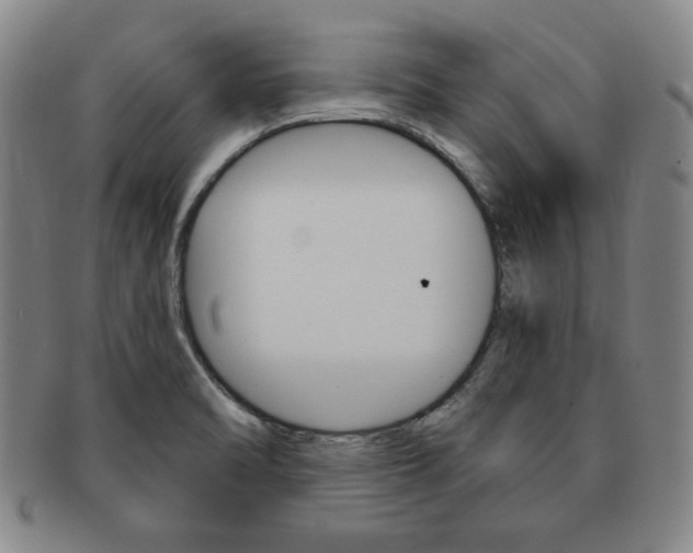 X0000091641470200708230937