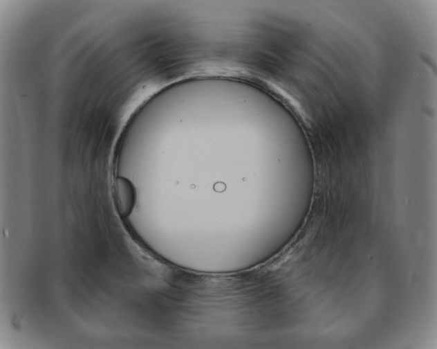 X0000091641471200708230937