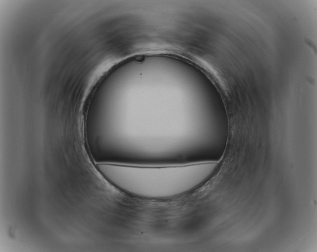 X0000091641472200708230937