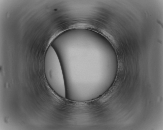 X0000091641473200708230937