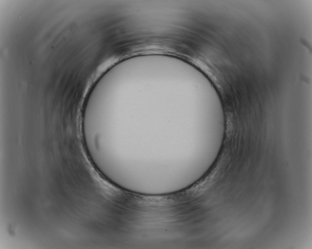 X0000091641474200708230937