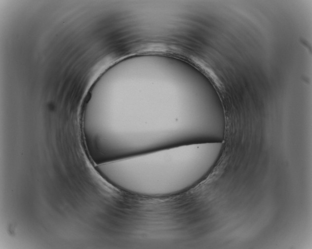 X0000091641475200708230937