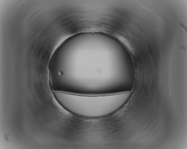 X0000091641476200708230937