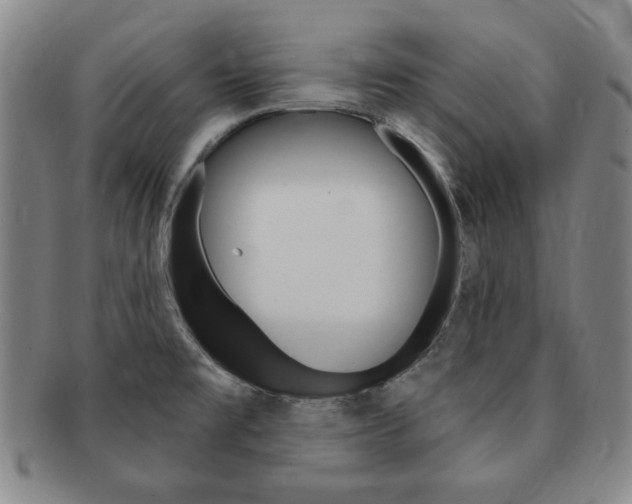 X0000091641477200708230937