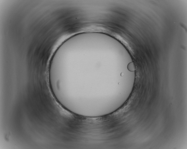 X0000091641478200708230937