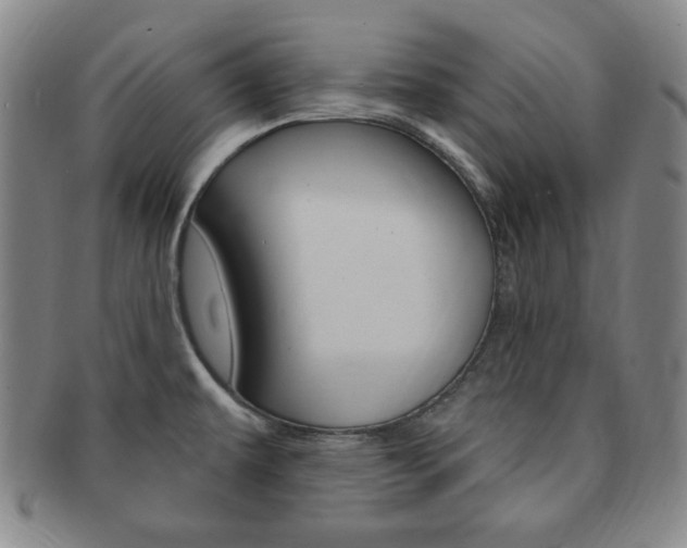 X0000091641479200708230937