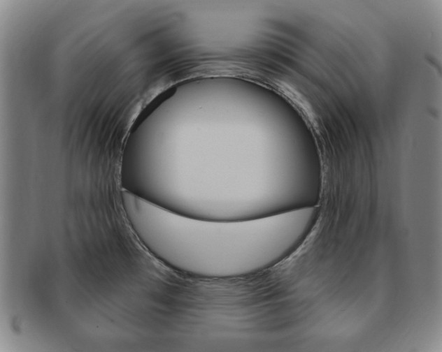 X0000091641481200708230937