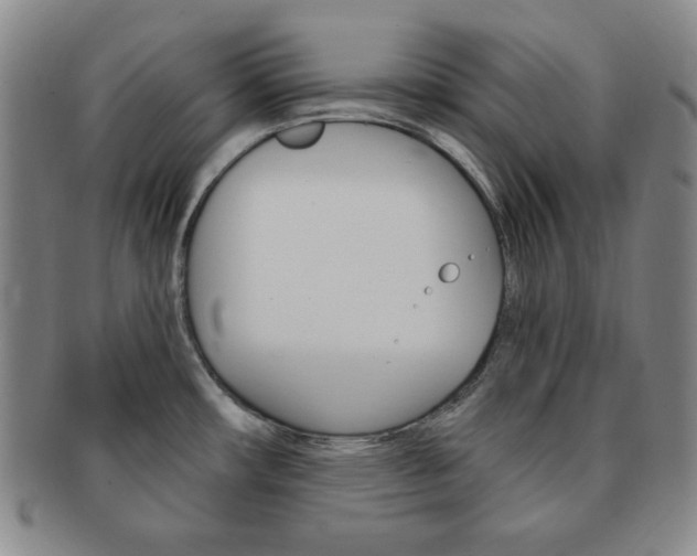 X0000091641482200708230937