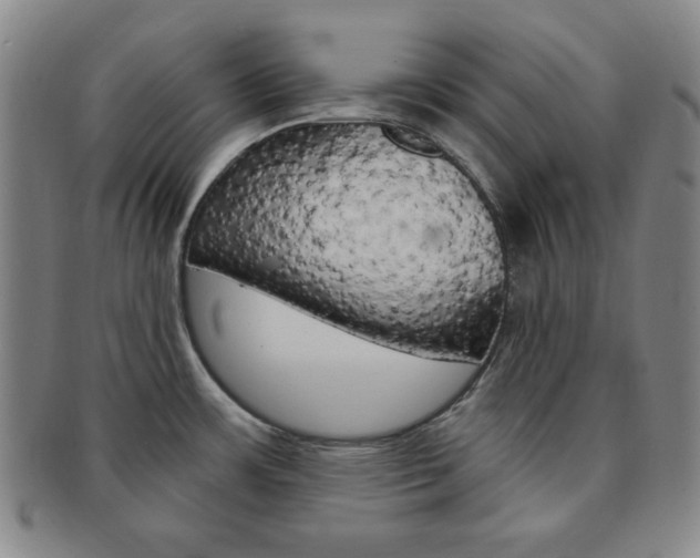 X0000091641483200708230937