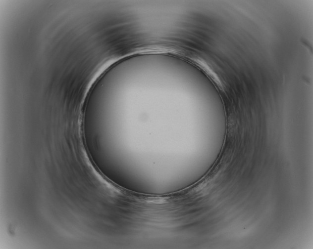 X0000091641484200708230937