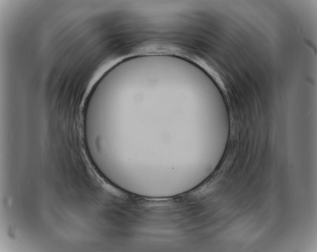 X0000091641486200708230937