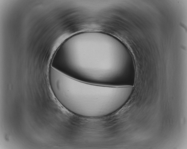 X0000091641488200708230937