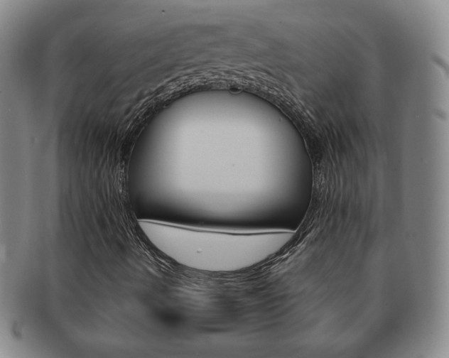 X0000091641490200708230936
