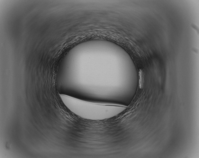 X0000091641491200708230936