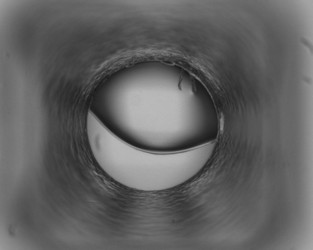 X0000091641492200708230936