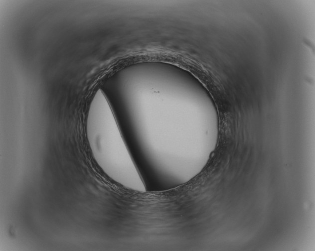 X0000091641493200708230936