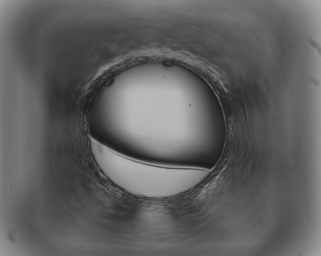 X0000091641494200708230936