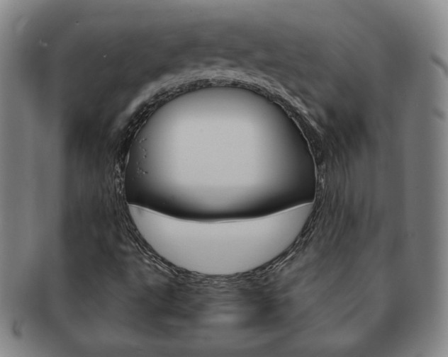 X0000091641495200708230936