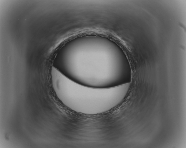 X0000091641496200708230936
