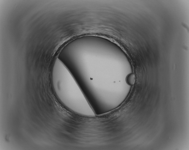 X0000091641497200708230937