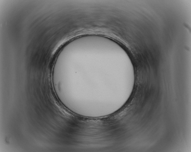 X0000091641498200708230937