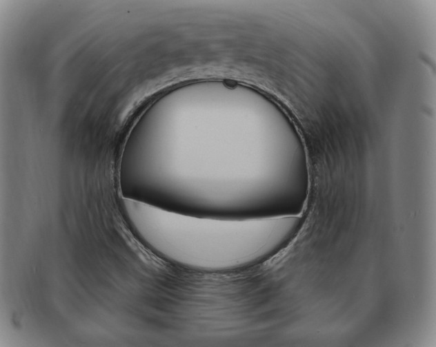 X0000091641499200708230937