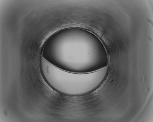 X0000091641500200708230937