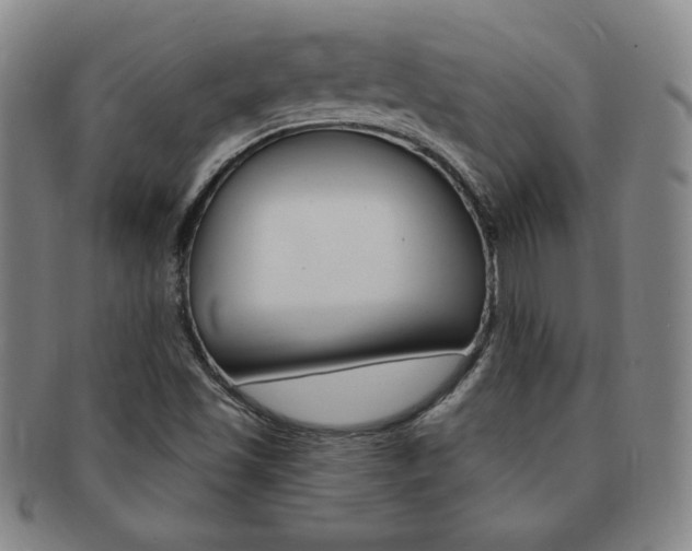 X0000091641501200708230937