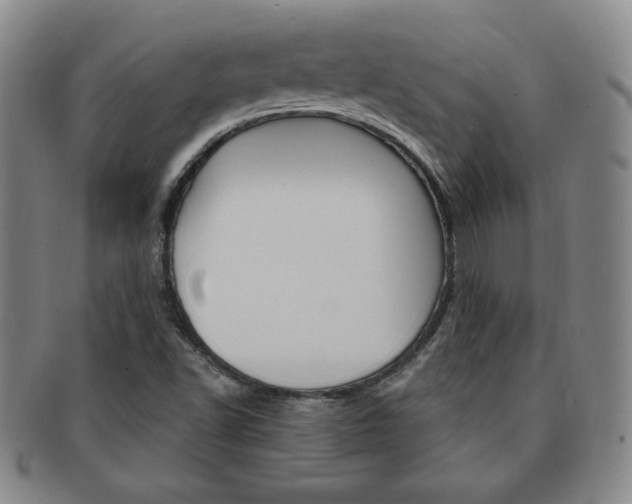 X0000091641502200708230937