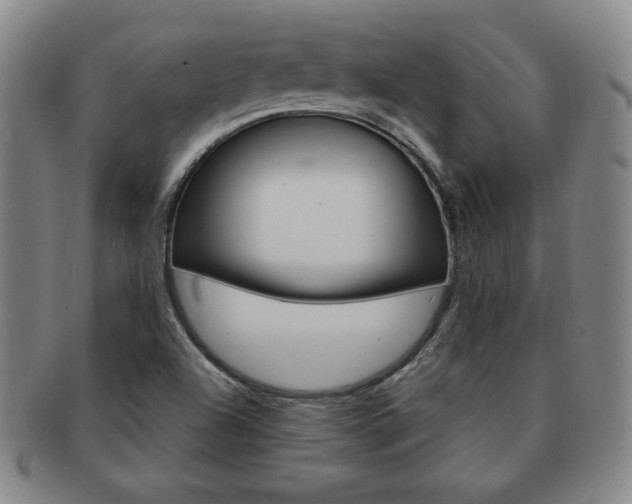 X0000091641504200708230937