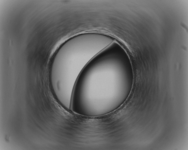 X0000091641506200708230937