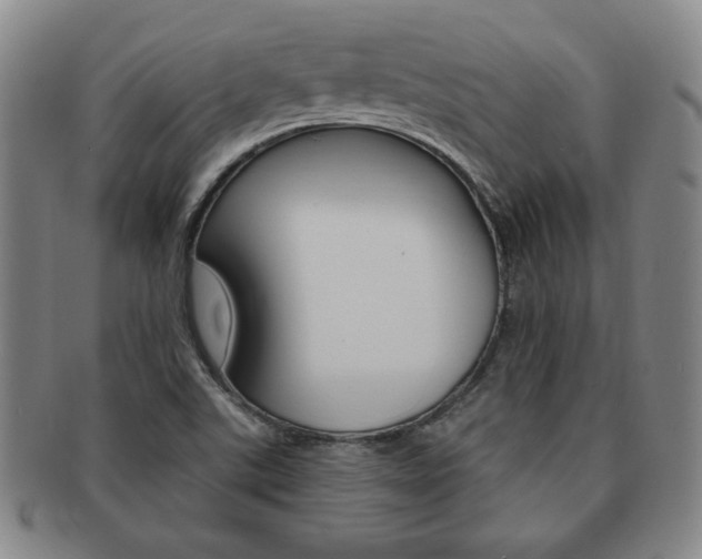 X0000091641507200708230937