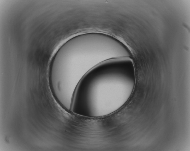X0000091641508200708230937