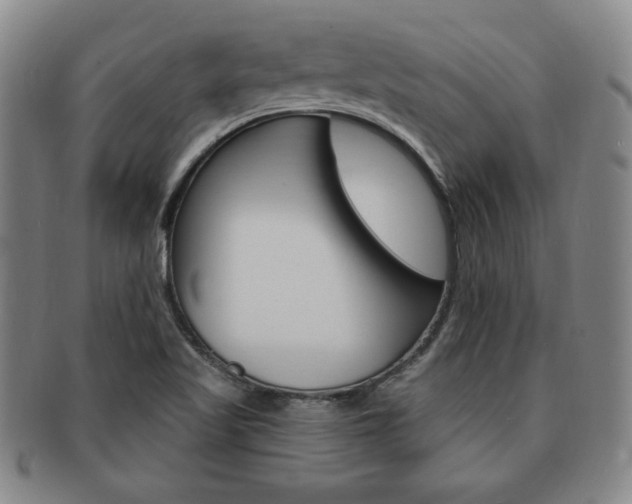 X0000091641509200708230937