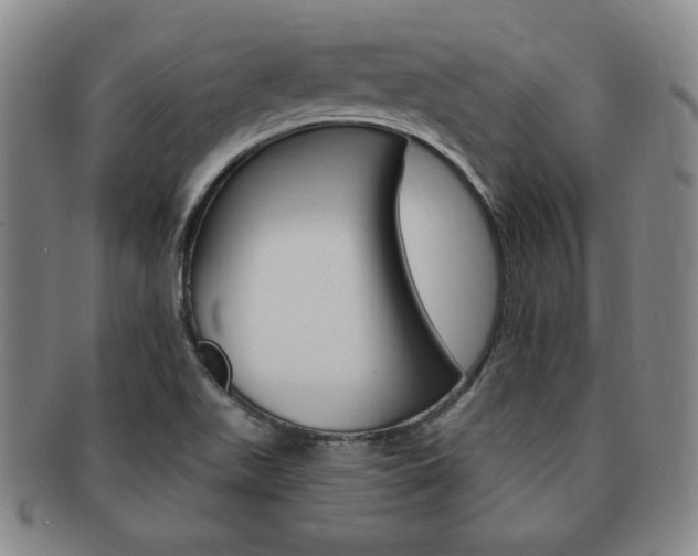 X0000091641511200708230937