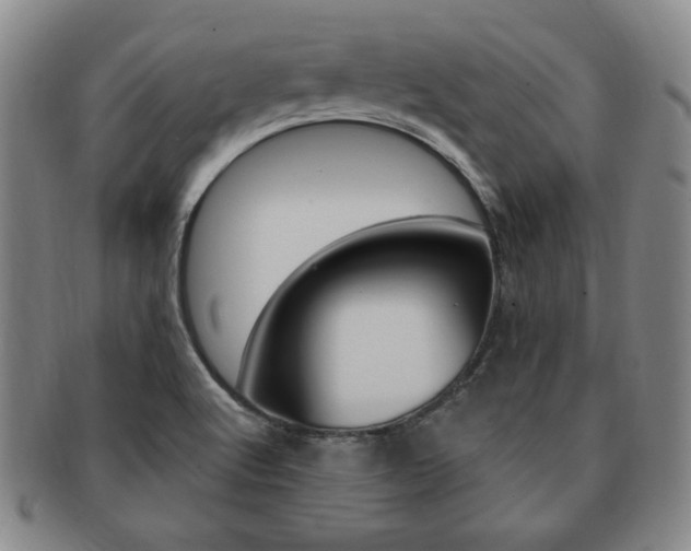 X0000091641512200708230937