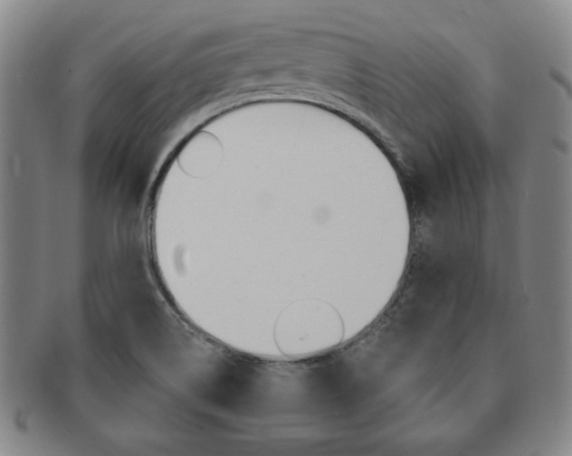 X0000091641514200708230937