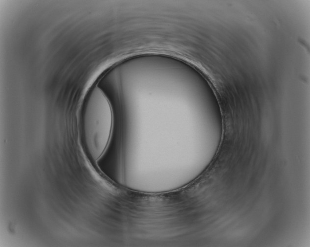 X0000091641515200708230937