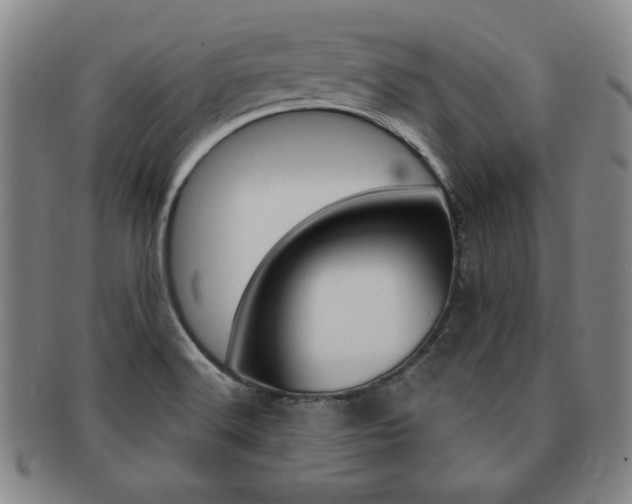 X0000091641516200708230937