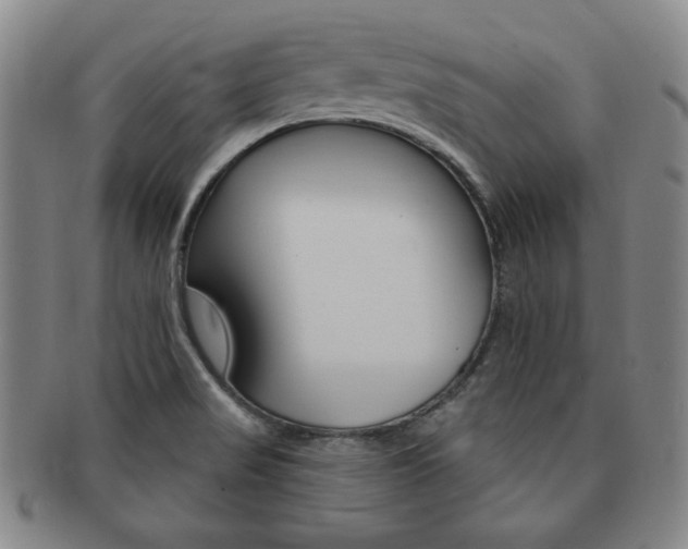 X0000091641517200708230937